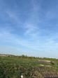 Buy a lot of land, st. Sportivna, Ukraine, Gamaleevka, Pustomitivskiy district, Lviv region, , 445 600