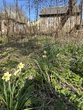 Купити ділянку, Рожева вул., 6, Львів, Сихівський район, Львівська обл., , 9 423 000