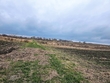 Buy a lot of land, Ukraine, Basovka, Pustomitivskiy district, Lviv region, , 156 000