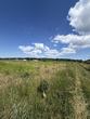Buy a lot of land, Ukraine, Zimna Voda, Pustomitivskiy district, Lviv region, , 1 738 000