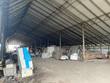 Commercial real estate for rent, Ukraine, Bolshoy Doroshiv, Zhovkivskiy district, Lviv region, 1100 кв.м, 180/мo