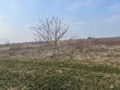 Купити ділянку, Пикуловичі, Пустомитівський район, Львівська обл., , 467 800