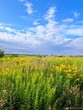 Buy a lot of land, st. Lesi-Ukrayinki, Ukraine, Kamenobrod, Yavorivskiy district, Lviv region, , 289 600