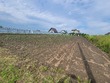 Купити ділянку, Великий Дорошів, Жовківський район, Львівська обл., , 868 800