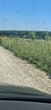Купити ділянку, Городок, Городоцький район, Львівська обл., , 66 900