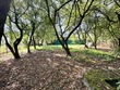 Купити ділянку, Солонка, Пустомитівський район, Львівська обл., , 802 000