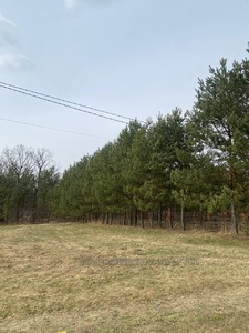 Купити ділянку, під забудову, Бірки, Яворівський район, id 5747784