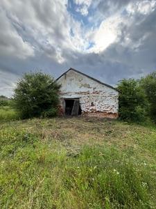 Купити комерційну нерухомість, Центральна, Никловичі, Самбірський район, id 5889808