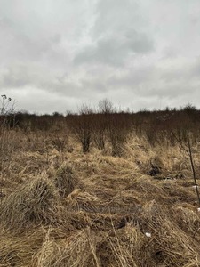 Купити ділянку, під забудову, Сокільники, Пустомитівський район, id 5765005