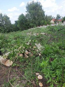 Купити ділянку, Малехів, Жовківський район, id 5757119