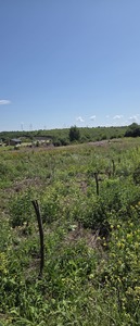Купить участок, сельскохозяйственного, Малечковичи, Пустомытовский район, id 5900092