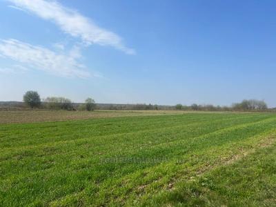 Купити ділянку, Залужжя, Городоцький район, id 5729931