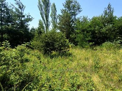 Купити ділянку, садівництво, Угри, Городоцький район, id 5792148