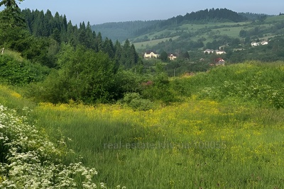 Купити ділянку, сільськогосподарського, Явора, Турківський район, id 5698474