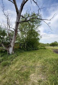 Купити ділянку, сільськогосподарського, Підрясне, Яворівський район, id 5797038
