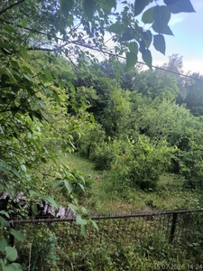 Купити ділянку, Шевченка, Домажир, Яворівський район, id 5830921