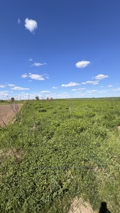 Купити ділянку, Крута, Малі Підліски, Жовківський район, id 5775239