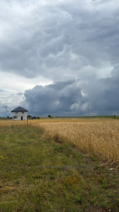 Купити ділянку, під забудову, Керниця, Городоцький район, id 5826856
