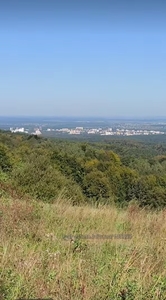Купить участок, сельскохозяйственного, Трускавец, Дрогобицкий район, id 5893976