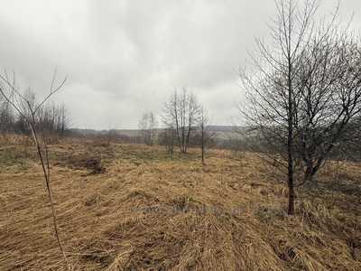 Купить участок, под застройку, Поляна, Николаевский район, id 5704777