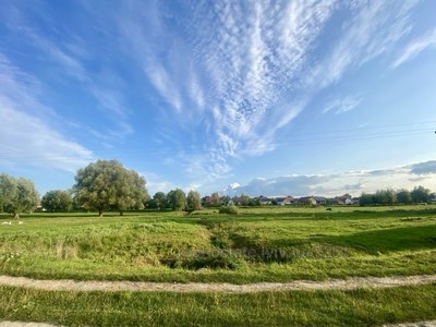 Купити ділянку, Подоби, Грімне, Городоцький район, id 5895179