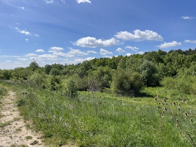 Купити ділянку, під забудову, Зубра, Пустомитівський район, id 5798057