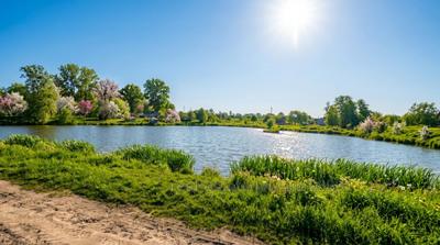 Buy a lot of land, for building, Chishki, Pustomitivskiy district, id 5895571
