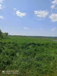 Buy a lot of land, condo, Центральна, Zvenigorod, Pustomitivskiy district, id 5762866