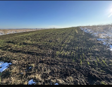 Купити ділянку, сільськогосподарського, Вулиц, Підберізці, Пустомитівський район, id 5564281