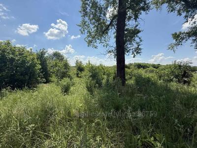 Купити ділянку, під забудову, Тернопілля, Миколаївський район, id 5829486