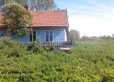 Купити будинок, Будинок, Йова Борецького, Бірче, Городоцький район, id 5895846
