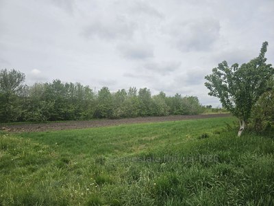 Купити ділянку, під забудову, Куликів, Жовківський район, id 5775806