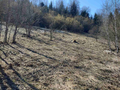 Buy a lot of land, agricultural, Novyy Kropivnik, Drogobickiy district, id 5811604