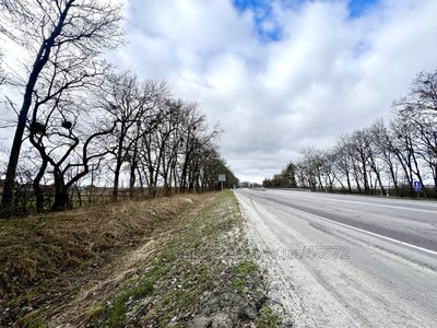 Купити комерційну нерухомість, Майновий комплекс, Центральна, Новий Милятин, Буський район, id 5889066