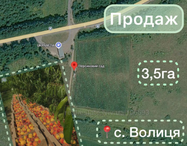 Купити ділянку, сільськогосподарського, Волиця, Мостиський район, id 5758061