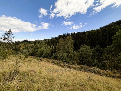Купити ділянку, сільськогосподарського, Карпатська, Славсько, Сколівський район, id 5883323