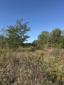 Купити ділянку, садівництво, Солонка, Пустомитівський район, id 5883963