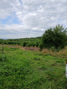 Купити ділянку, Деревач, Пустомитівський район, id 5692439