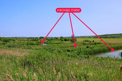 Купити ділянку, садівництво, Дорошенка, Жовква, Жовківський район, id 5807273
