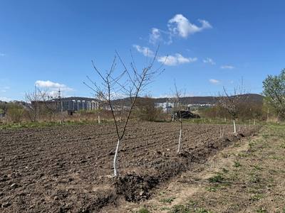 Купити ділянку, сільськогосподарського, Винники, Львівська міськрада район, id 5817067