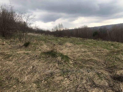 Купить участок, Трускавец, Дрогобицкий район, id 5893979