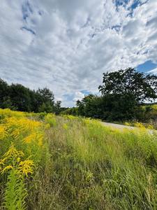 Buy a lot of land, agricultural, Sosnovka, Pustomitivskiy district, id 5865880