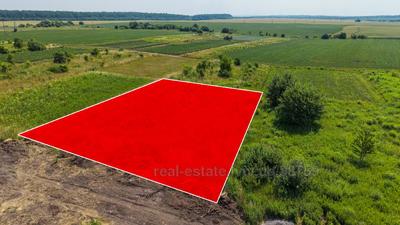 Buy a lot of land, for building, Krotoshin, Pustomitivskiy district, id 5895398