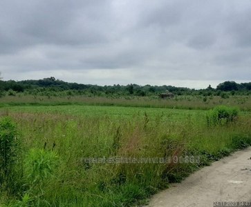 Орендувати ділянку, Сокаль, Сокальський район, id 5098390