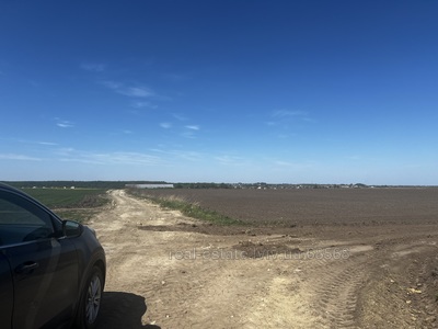 Купити ділянку, сільськогосподарського, Дмитровичі, Дмитровичі, Пустомитівський район, id 5892620