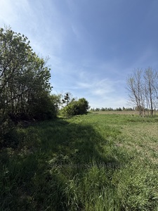 Купити ділянку, Шоломинь, Пустомитівський район, id 5850176