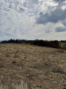 Buy a lot of land, agricultural, Podtemnoe, Pustomitivskiy district, id 5866137
