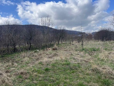 Купити ділянку, під забудову, Львівська, Червоне, Золочівський район, id 4530798