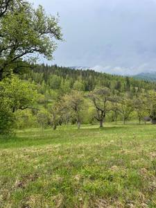 Купити ділянку, Верхня Рожанка, Сколівський район, id 5699089
