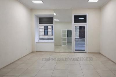 Commercial real estate for rent, Residential premises, Sholom-Aleykhema-Sh-vul, Lviv, Galickiy district, id 5865755